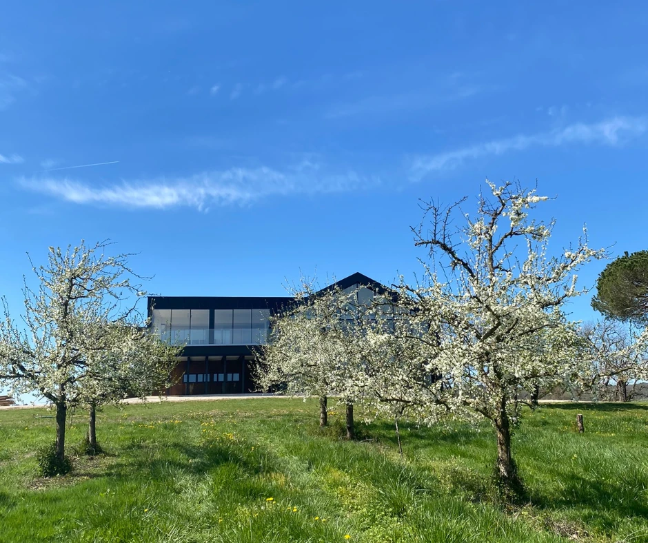 Atelier Auneau à la saison des pruniers en fleurs